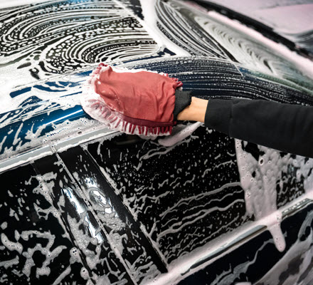 Professional Car Wash Detailing