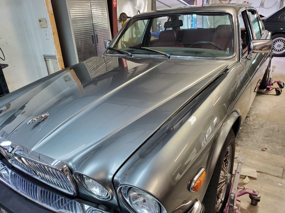 1b809a15-70bb-406c-bfc1-def623b28566