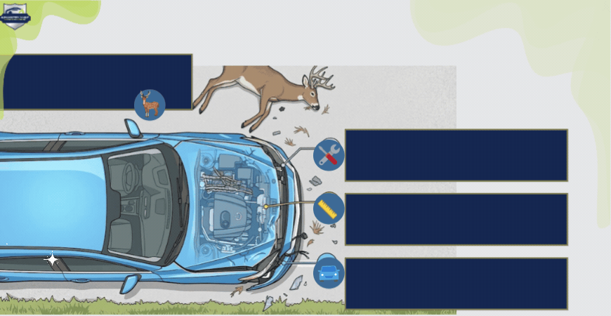 Deer Collision_ Damage Goes Beyond the Bumper